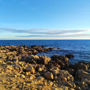Sète 🌊 (1/3). Clairement, j'ai tellement pris de photos que je vais faire plusieurs posts 🤓 .#sete #france